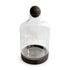 SR Aquaristik Terrarium with Wood Base & Cap
