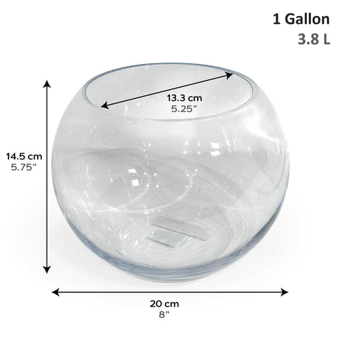 SR Aquaristik Glass Bowls