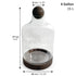 SR Aquaristik Terrarium with Wood Base & Cap