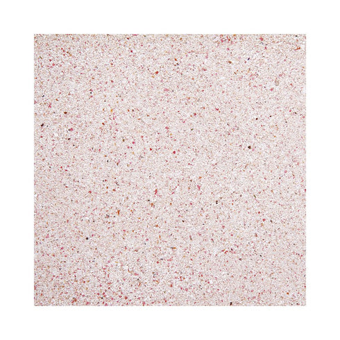 World Wide Imports Nature's Ocean Bio-Activ Live Marine Aragonite - Samoa Pink Reef Sand