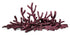 Walt Smith Nano Series 2.1 Fiji Handcrafted Aquarium Rock