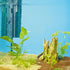 Oase BioPlus Internal Filters