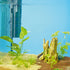 Oase BioPlus Thermo Internal Filters
