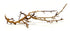 SR Aquaristik Fan Wood