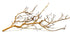 SR Aquaristik Fan Wood