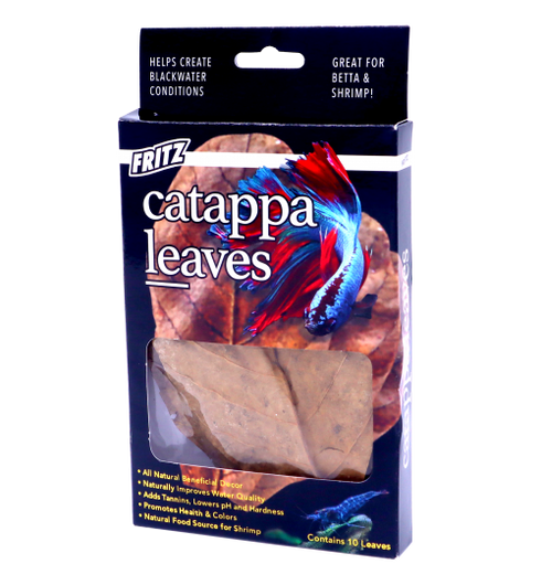 Fritz Cattapa Leaves