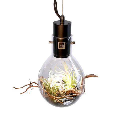 SR Aquaristik Hanging Luminarium Terrarium