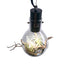 SR Aquaristik Hanging Luminarium Terrarium
