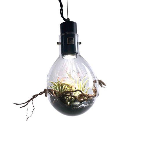 SR Aquaristik Hanging Luminarium Terrarium