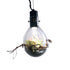 SR Aquaristik Hanging Luminarium Terrarium