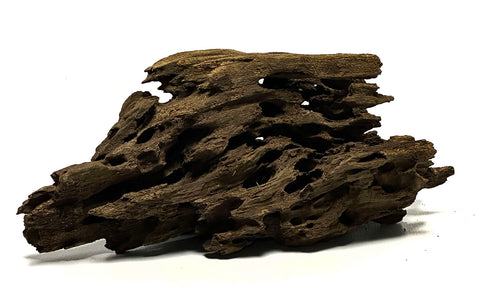 SR Aquaristik Ohko Wood