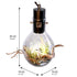 SR Aquaristik Hanging Luminarium Terrarium