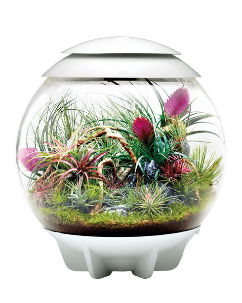 Oase biOrb Air Terrarium White