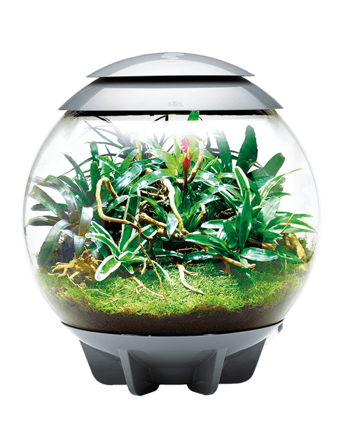 Oase biOrb Air Terrarium Gray