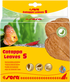 Sera Catappa Leaves