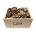 SR Aquaristik Petrified Wood Stone