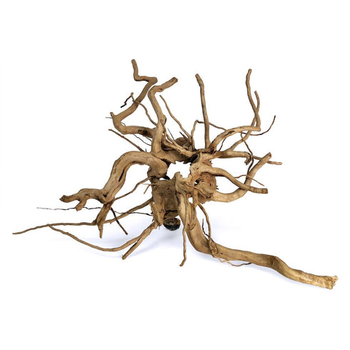 SR Aquaristik Spider Wood