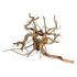 SR Aquaristik Spider Wood