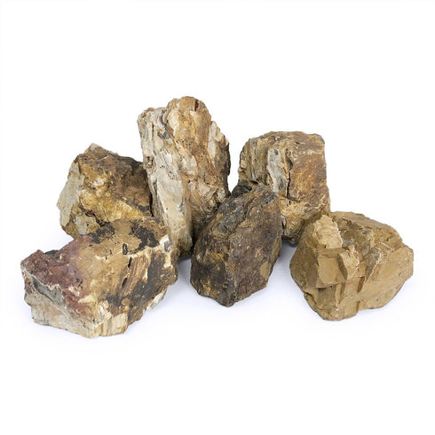 SR Aquaristik Petrified Wood Stone