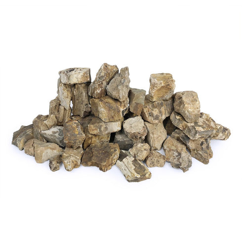 SR Aquaristik Petrified Wood Stone