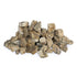 SR Aquaristik Petrified Wood Stone