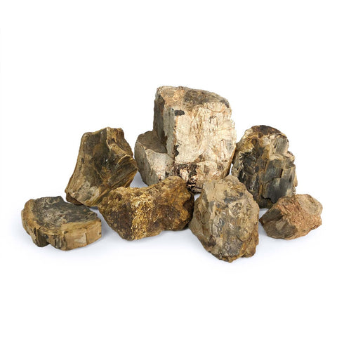 SR Aquaristik Petrified Wood Stone