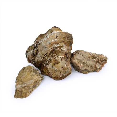 SR Aquaristik Petrified Wood Stone