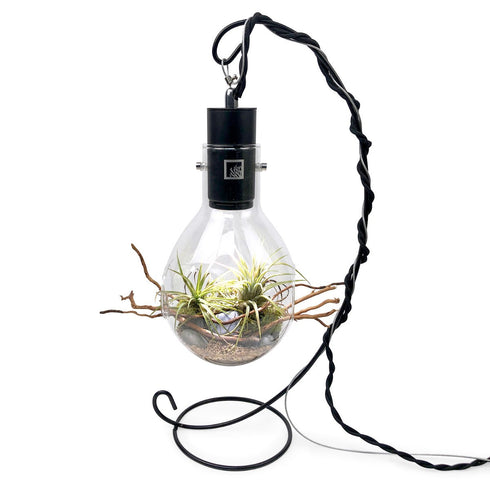 SR Aquaristik Luminarium Terrarium Desktop Stand