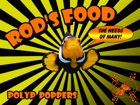 Rod's Food Polyp Poppers 2oz
