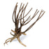 SR Aquaristik Pine Spider Wood / Tiger Wood